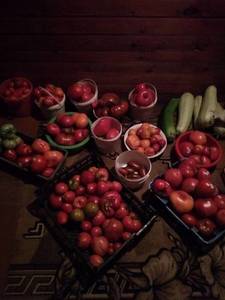 IMG_20190816_181754_HHT.jpg