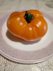 IMG_20190817_082314.jpg
