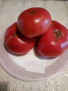 IMG_20190817_094733.jpg