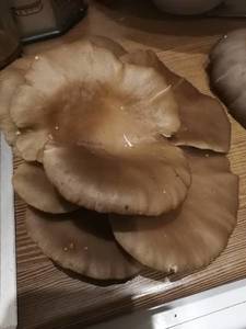 IMG_20190924_184819.jpg