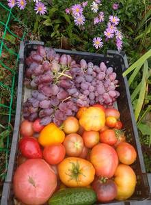 IMG_20190927_104526.thumb.jpg.cee8846f50a87547d5d72cf0eb5dc989.jpg