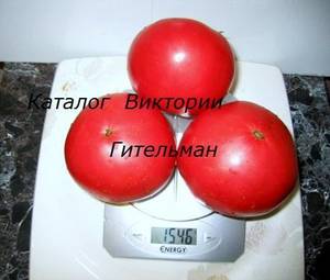 IMG_8733-001.JPG