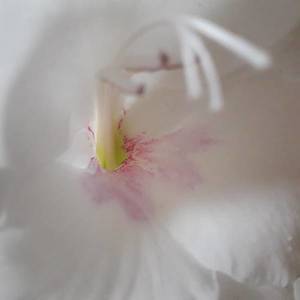 rps20190925_142301.thumb.jpg.ea794d2d726f8f965b77ba78fbd2e6c5.jpg