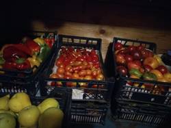 помидоры и перцы в кладовке.jpg