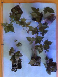 2014-01-12%2013_40_11.jpg