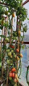 20190921_140223.thumb.jpg.8ab0988eb3491778347e85a2748716f4.jpg