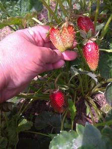 IMG_20190614_105453.jpg