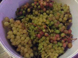 IMG_20190921_200914_BURST1.jpg