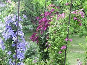 IMG_4786.JPG