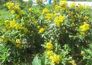 IMG_9128.JPG