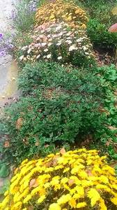 P_20161015_152536_LL.jpg