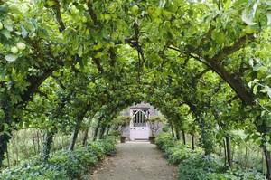 apple-tunnel-in-the-Kitchen-Garden.jpg