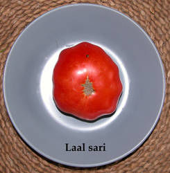 134.Laal sari.jpg