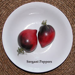 180.Sergant Peppers.jpg