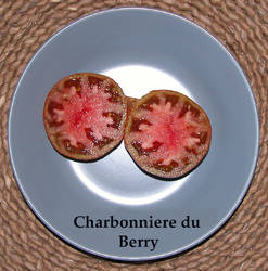 59.Charbonniere du Berry2.jpg