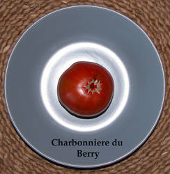 59.Charbonniere du Berry1.jpg