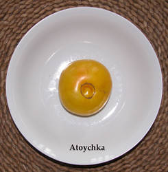 36.Atoychka2.jpg