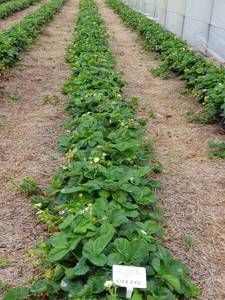 WhatsApp Image 2019-11-27 at 11.00.49(5).jpeg