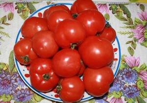 Царица севера7 — копия.JPG