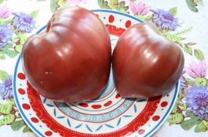 IMG_8365 — копия.JPG