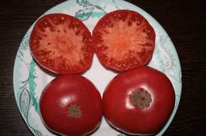 IMG_8589 — копия.JPG