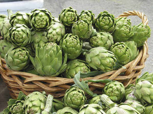 174527655_0artichoke.thumb.jpg.06411b3ca34bf3b1b864785266c9ee61.jpg