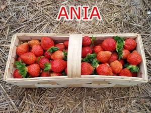 WhatsApp Image 2019-11-27 at 11.00.49(3).jpeg