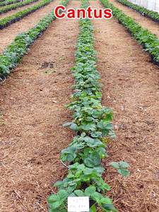 WhatsApp Image 2019-11-27 at 11.00.49(1).jpeg