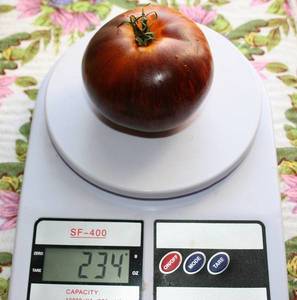 IMG_8485 — копия.JPG