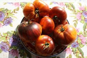 IMG_8480 — копия.JPG