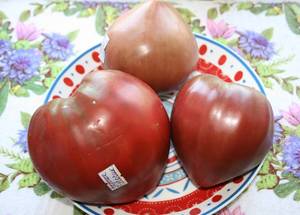 IMG_8362 — копия.JPG