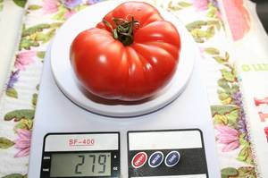 IMG_8474 — копия.JPG