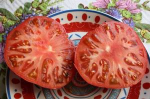 IMG_8476 — копия.JPG