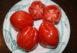 Сердце буйвола2 — копия.JPG