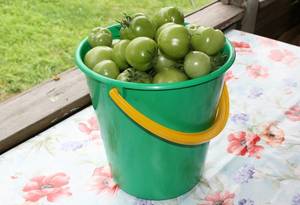 IMG_8213 — копия.JPG