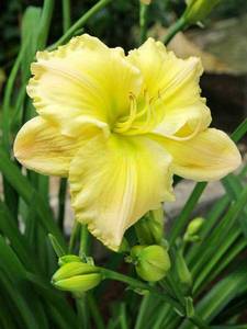649fb6673ac6efae9625bdfa5c1a0b3a.thumb.jpg.1be2fd1fb7c2a9107be59f36ea4f5e07.jpg