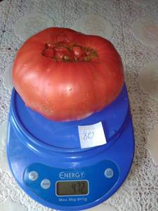 676233742_i(48).thumb.jpg.8953c3b8a13ac895918c5c6ac7a5a47f.jpg