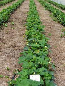 WhatsApp Image 2019-11-27 at 11.00.49(2).jpeg