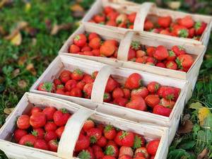 WhatsApp Image 2019-11-27 at 11.00.49(4).jpeg