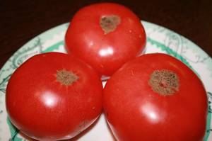 IMG_8581 — копия.JPG