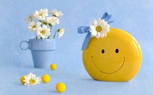 flowers-smile.thumb.jpg.49786ea5b9fd648ea1a71ee2f5147d1e.jpg