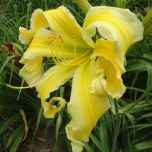 image.thumb.png.6b4c79e9c5917b0314eaed7ba40f9b01.png
