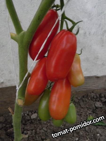 DSCN5428.JPG