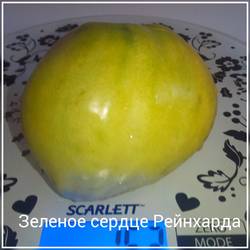 ср.jpg