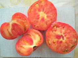 помидоры Король ананас1.jpg