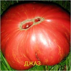 ЧК.jpg