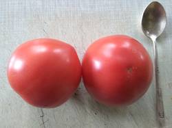 помидоры Малиновая империя F1_1.jpg