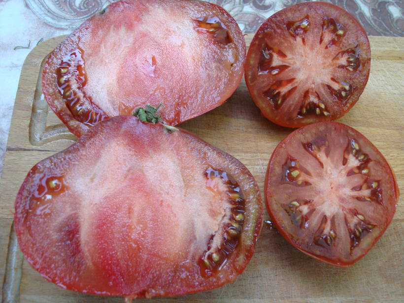 Мармеладная лампочка - М — сорта томатов - tomat-pomidor.com - отзывы нафоруме
