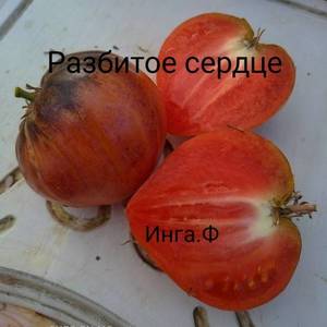 разб сер.jpg