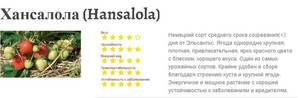 хансалола.jpg